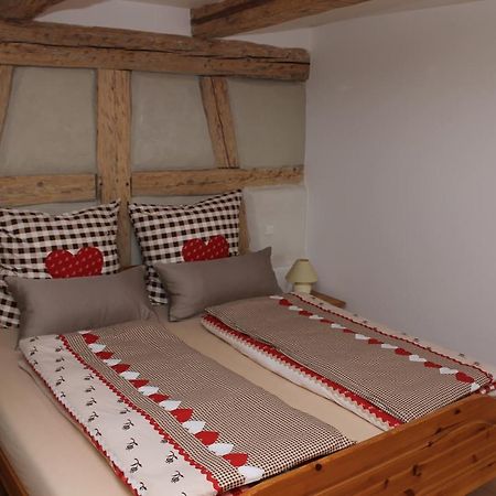 Alt-Gailingen Apartment Екстериор снимка